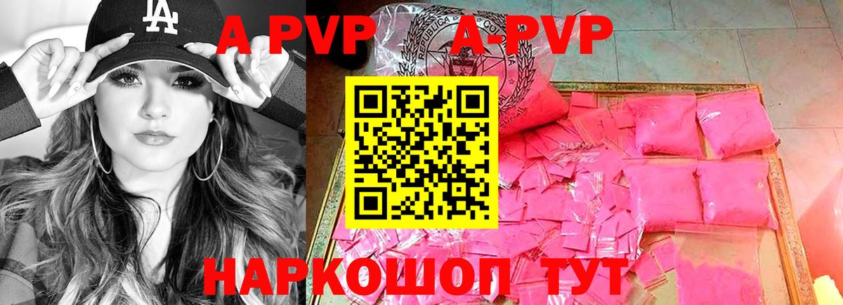A PVP СК Майкоп