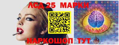 шишки Заводоуковск