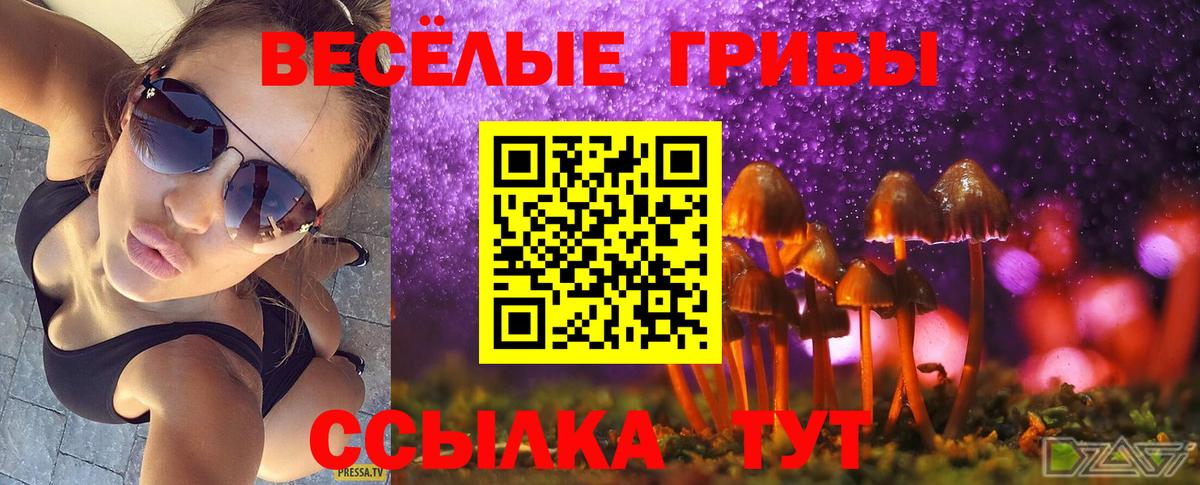 Псилоцибиновые грибы прущие грибы Майкоп