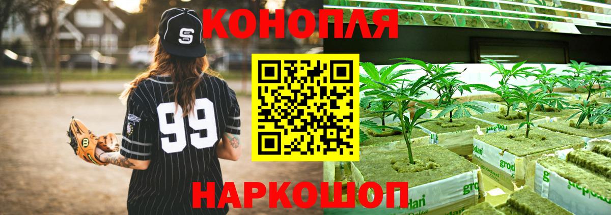 Канабис сатива  Вход с VPN  Каннабис Ganja  Марихуана THC 21%  Марихуана Bruce Banner  Майкоп 